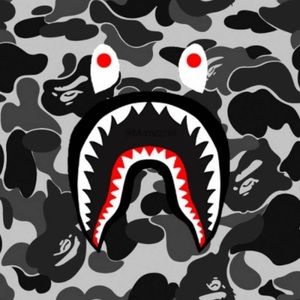 Meet your Posher, Pedro